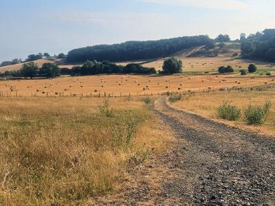 Gravel track cutting through golden summer pasture dotted with hay bales, rolling woodland hills rising in background under pale blue sky.