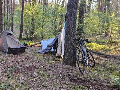 Third nights pitch. We called this a 'boutique wood'. It was lovely and less than a 100 m from the cycle path we were following. About 20 kn north east of Wildeshausen in Germany. A make shift camping pitch in pine woods.
