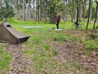 The fourth nights pitch. About 4 km east of Himbergen, Germany. This was in the morning before getting back on the road. I swear I heard canine yapping in the night. A make shift camping pitch in pine woods